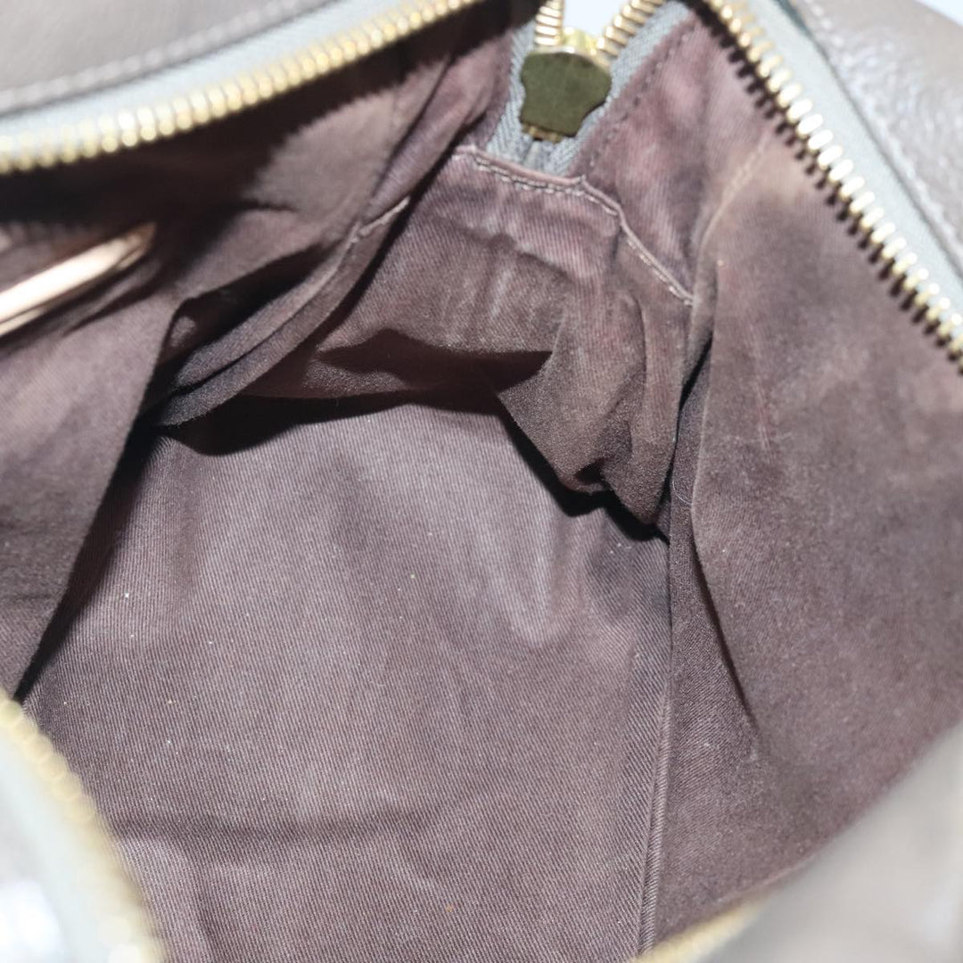 Chloe Paraty Hand Bag Leather 2way Brown Gold yk15233