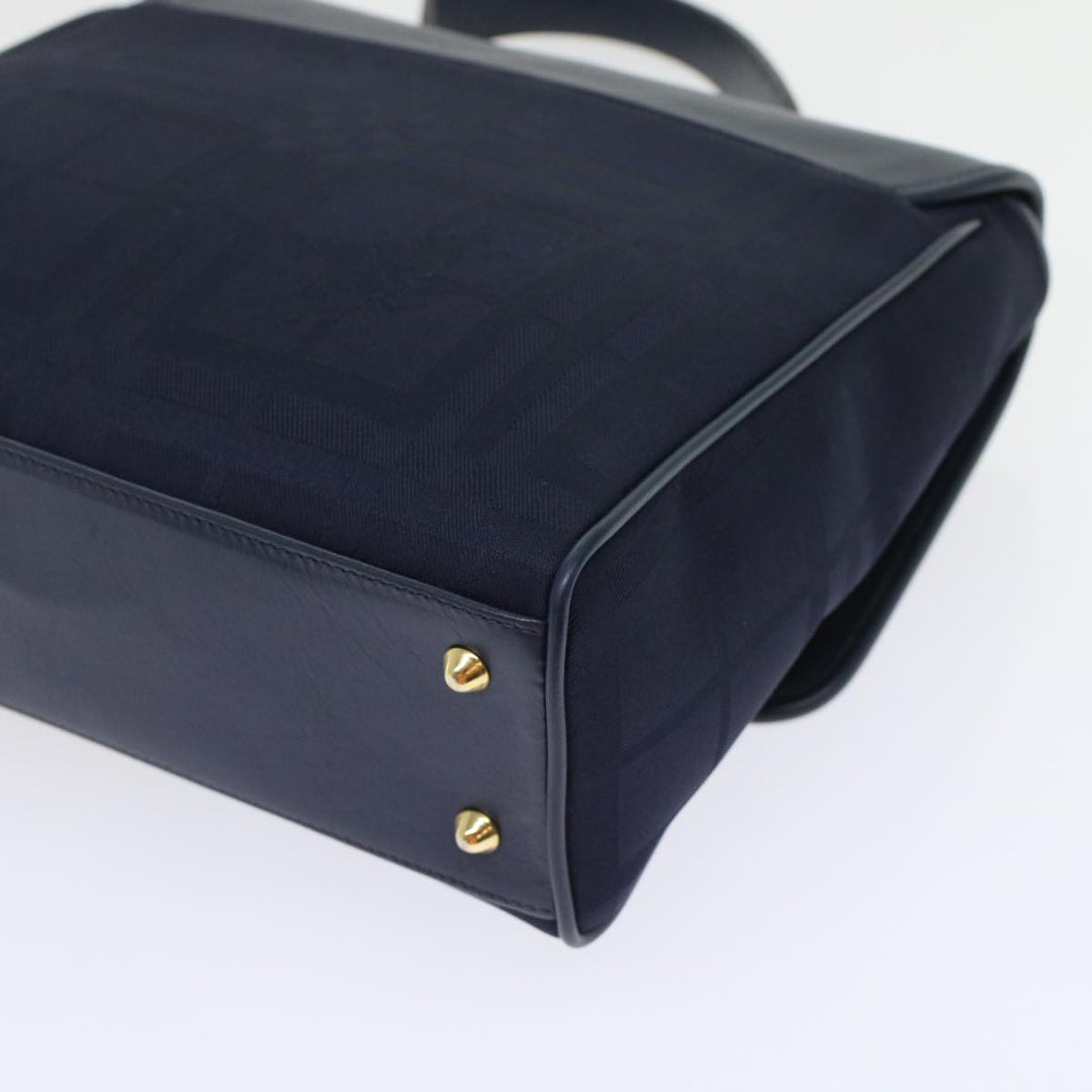 BurberrySs Nova Check Hand Bag Nylon Leather Blue Auth yk7428