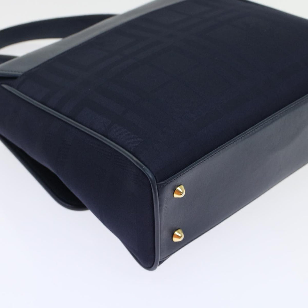 BurberrySs Nova Check Hand Bag Nylon Leather Blue Auth yk7428