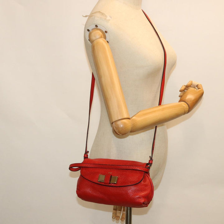 Chloe Accessory Pouch Leather 2way Red yk8693