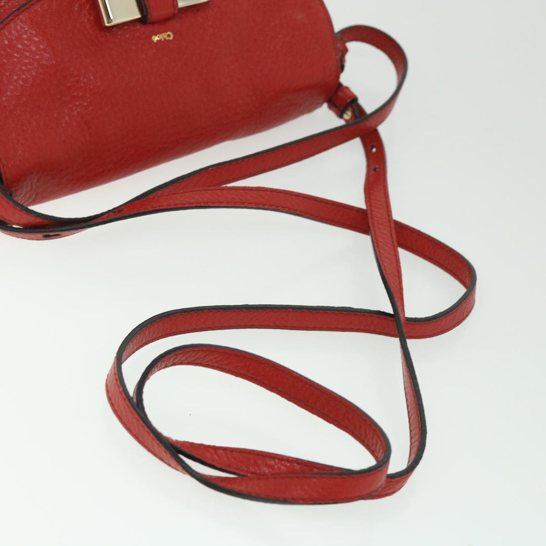 Chloe Accessory Pouch Leather 2way Red yk8693