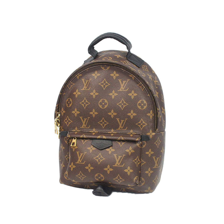 Pre-Loved Louis Vuitton Brown Monogram Palm Springs PM France