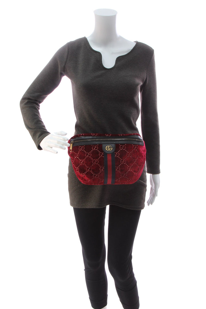 Velvet Large Web Belt Bag