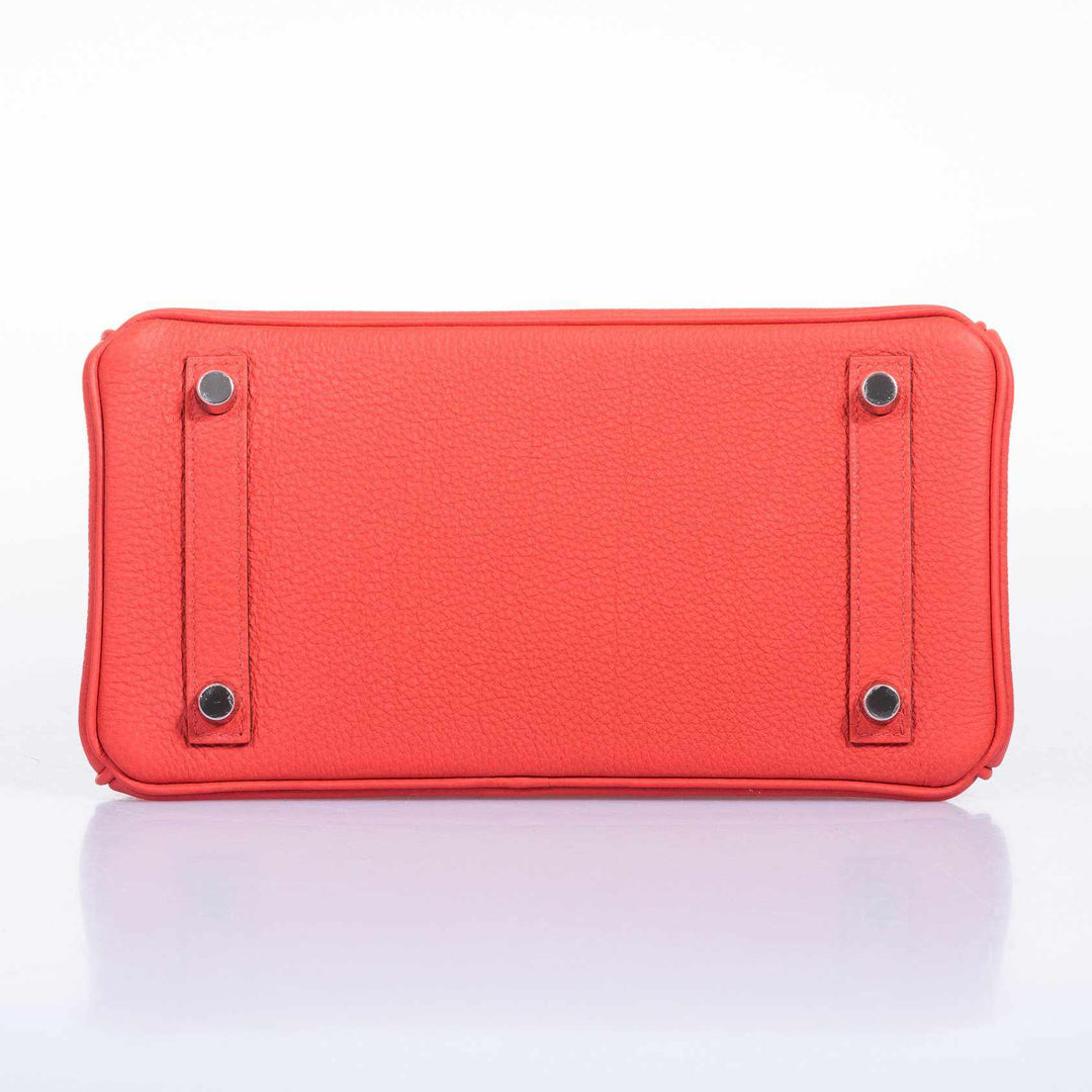 Hermès Birkin 25 Capucine Togo Palladium Hardware