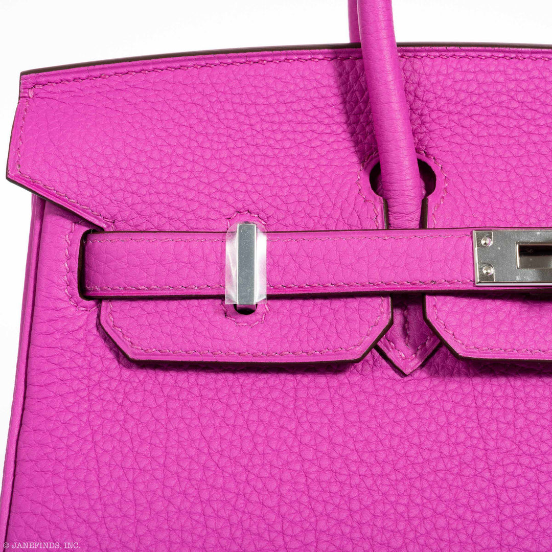 Hermès Birkin 25 Magnolia Togo Palladium Hardware