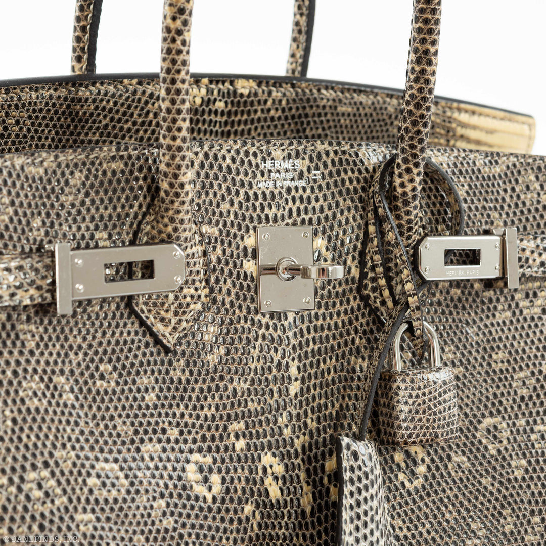 Hermès Birkin 25 Ombre Lizard Palladium Hardware - Rare