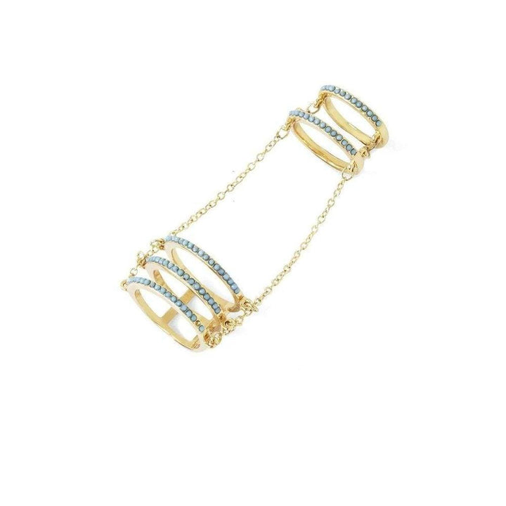 Double Cage Ring