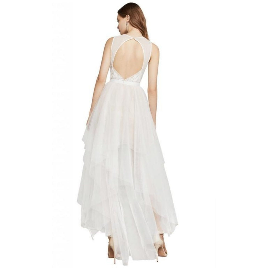 Riese Tulle Applique Dress