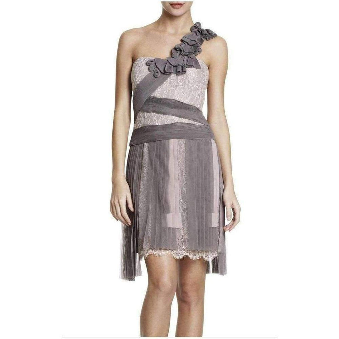 Pleated Contrast Lace Dress