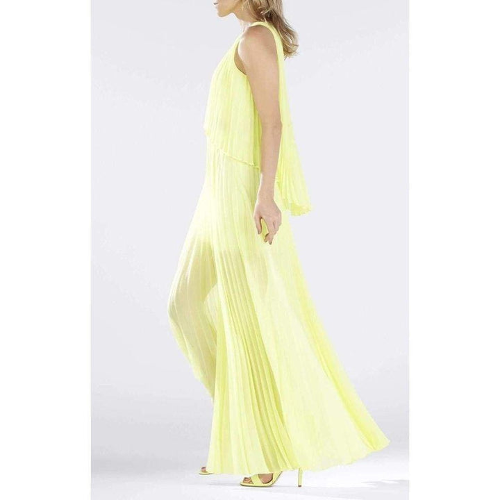 Shaina Citron Sleeveless Pleated Gown