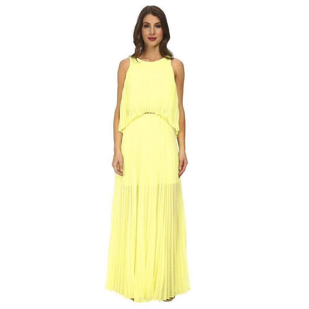 Shaina Citron Sleeveless Pleated Gown