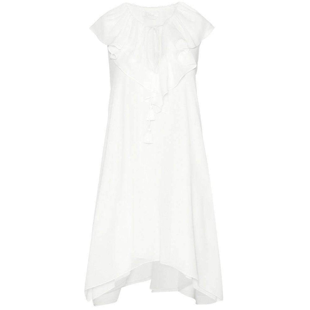 Chloé-Fine Sheer Crepe Dress - Runway Catalog