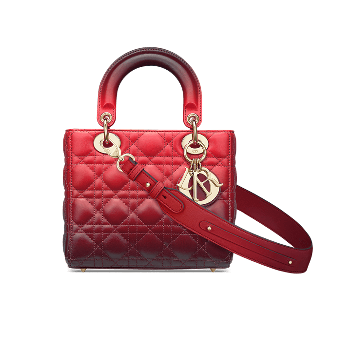 Lady Di**r My ABCDi**r Bag Raspberry Gradient Cannage Lambskin