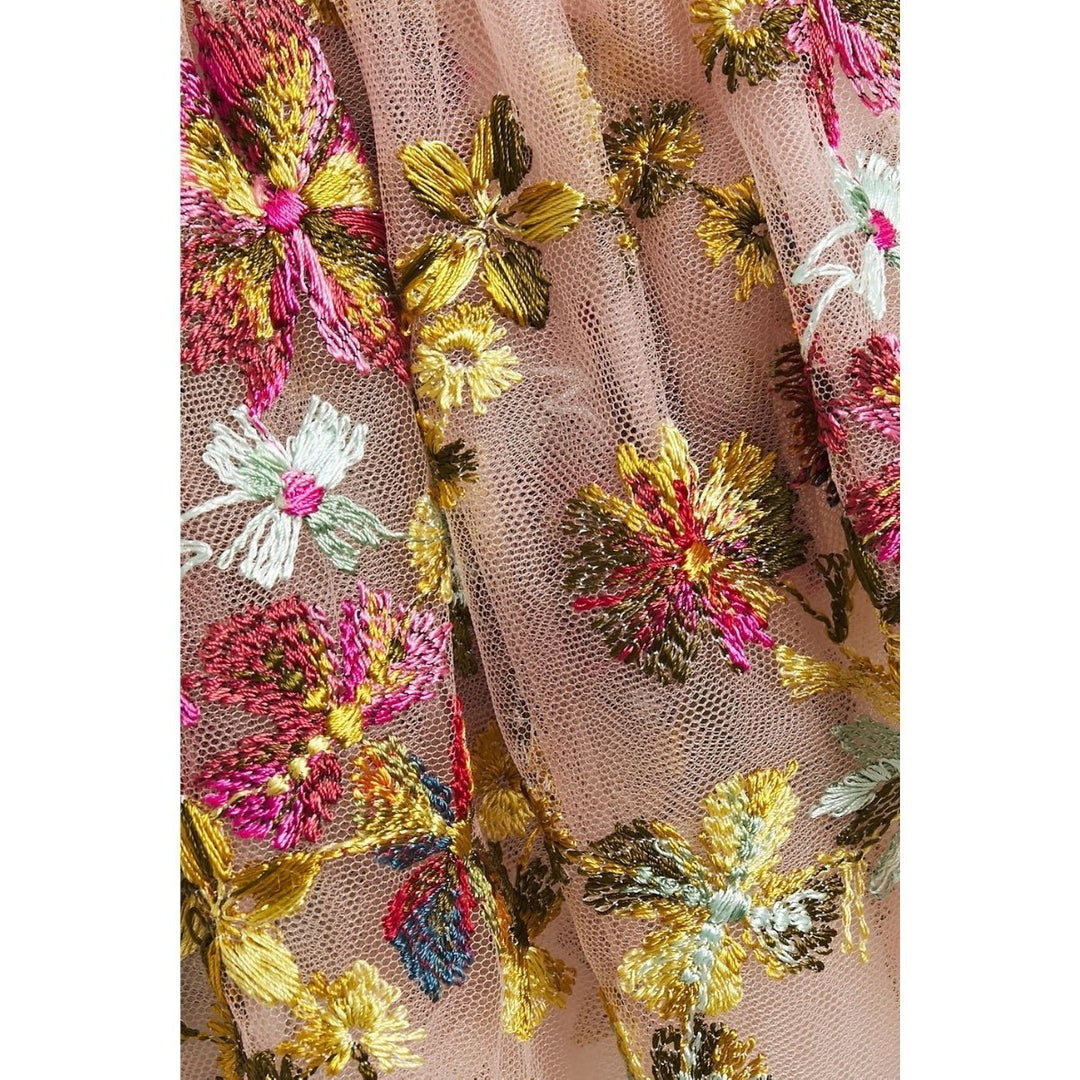 Lace-trimmed Embroidered Tulle Gown