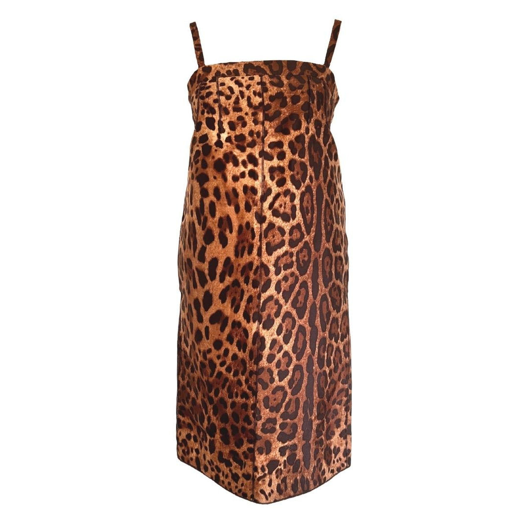 Dolce & Gabbana-Leopard Printed Silk Dress - Runway Catalog
