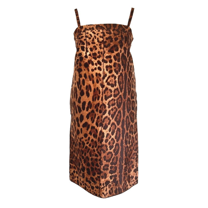Dolce & Gabbana-Leopard Printed Silk Dress - Runway Catalog