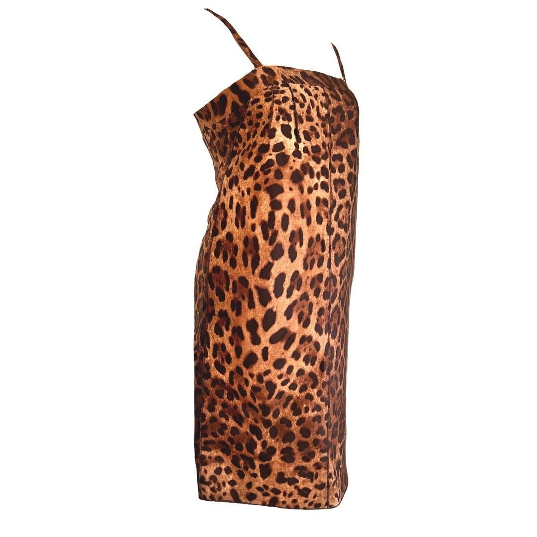 Leopard  Printed Silk Dress