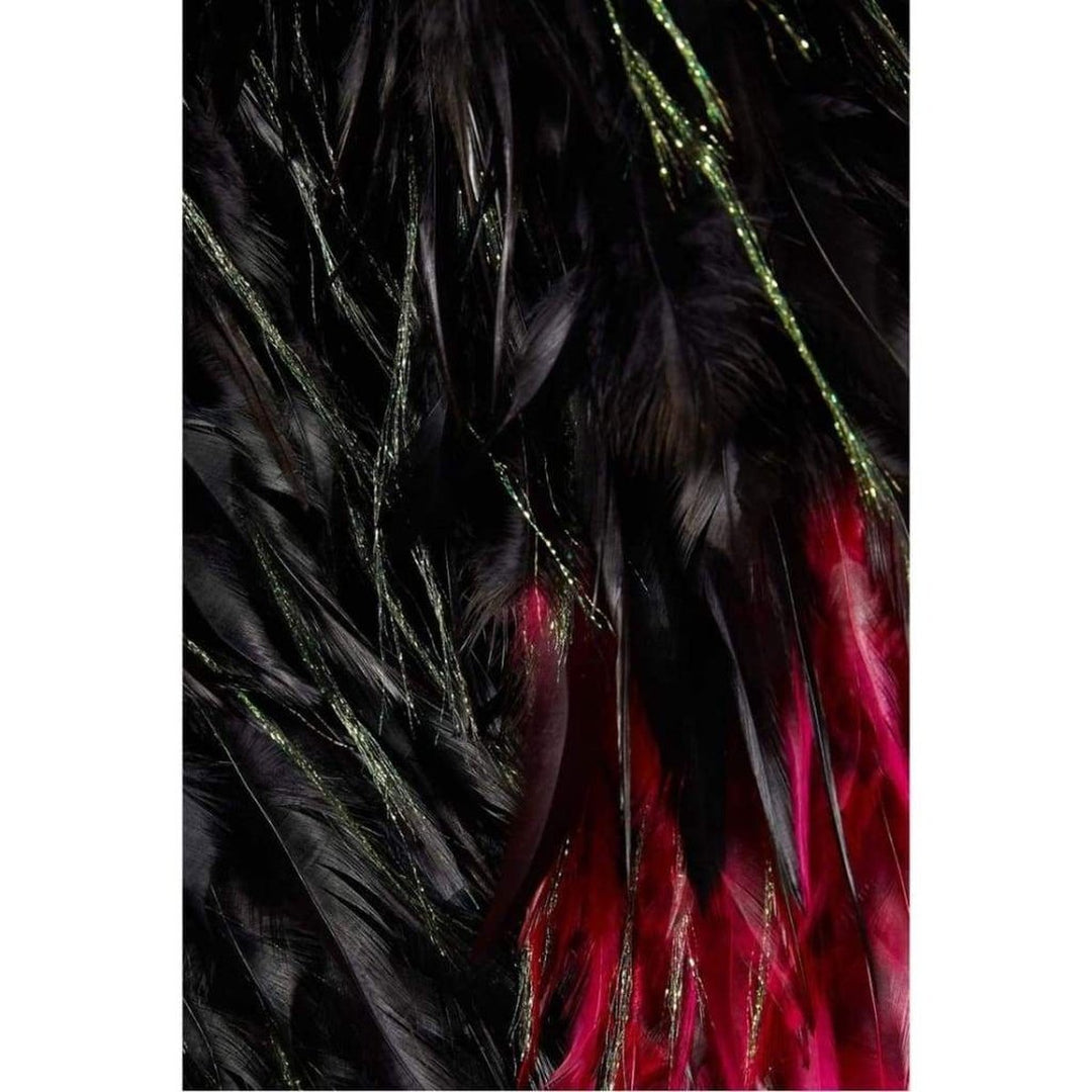 Roya Feathered Jacket