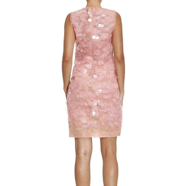 Sequin Lace Feather Embroidered Dress