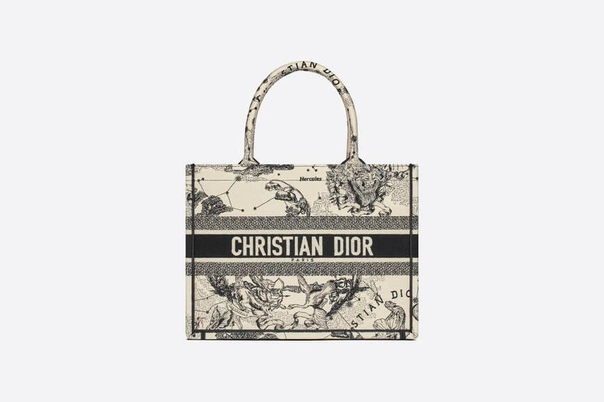 Small Di**r Book Tote