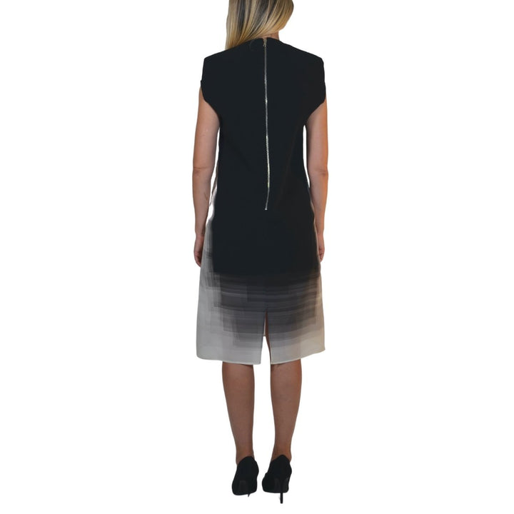 Ombre Shift Silk Blend Dress