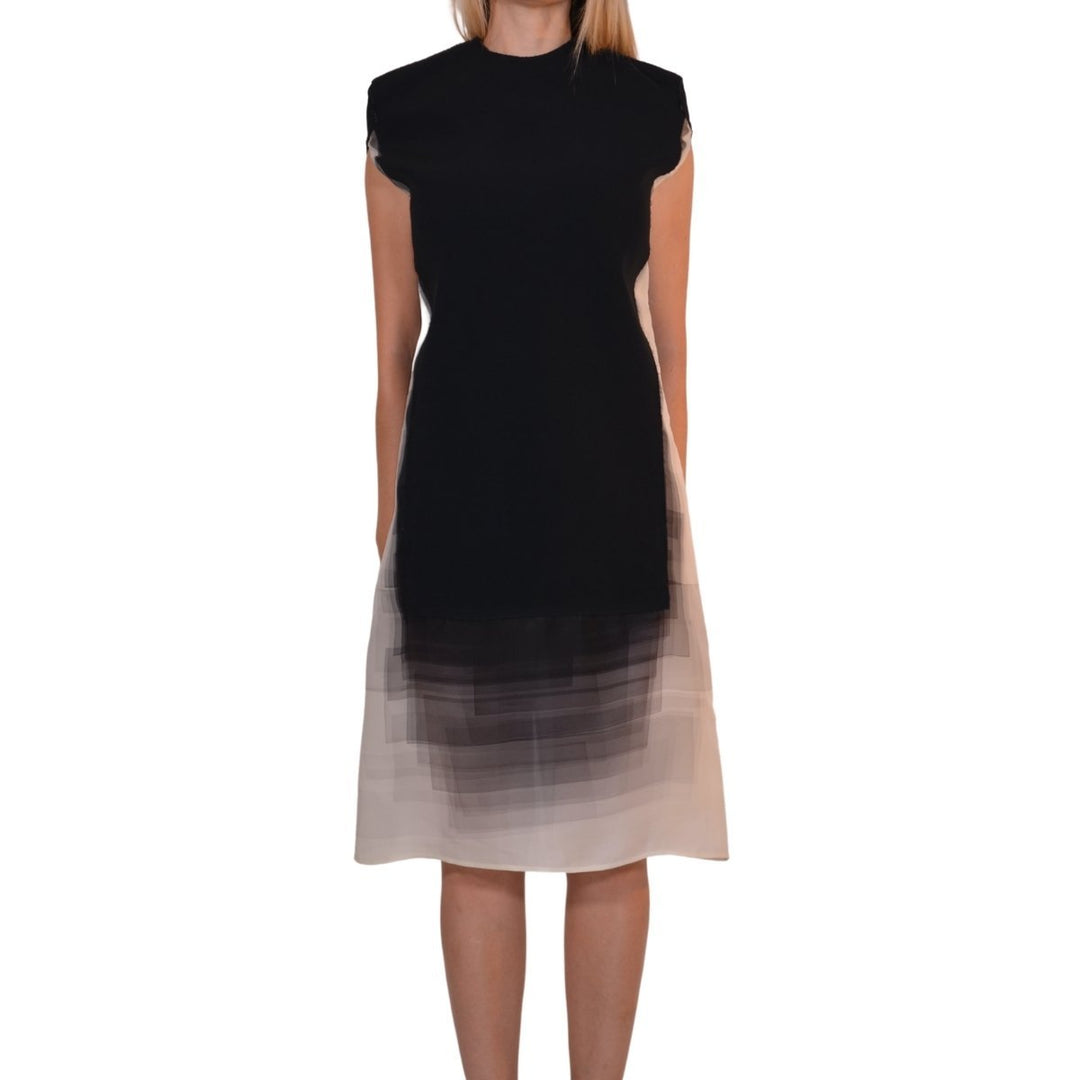 Ombre Shift Silk Blend Dress