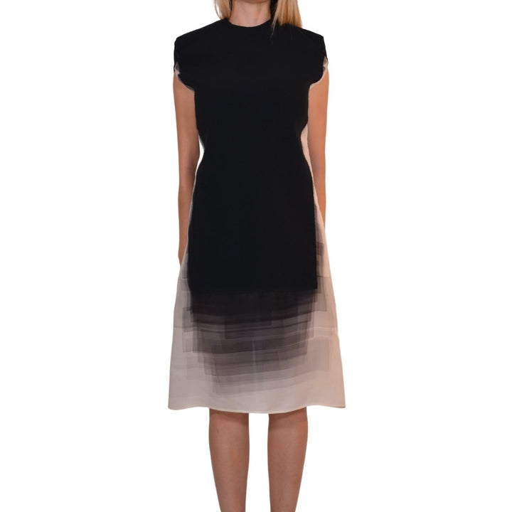 Ombre Shift Silk Blend Dress