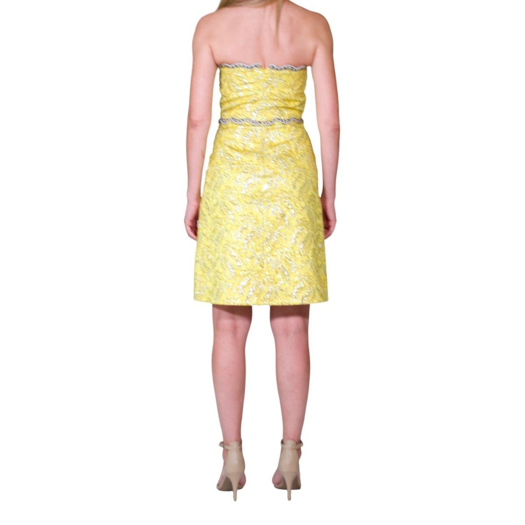 Embellished Metallic Brocade Lurex Bustier Dress