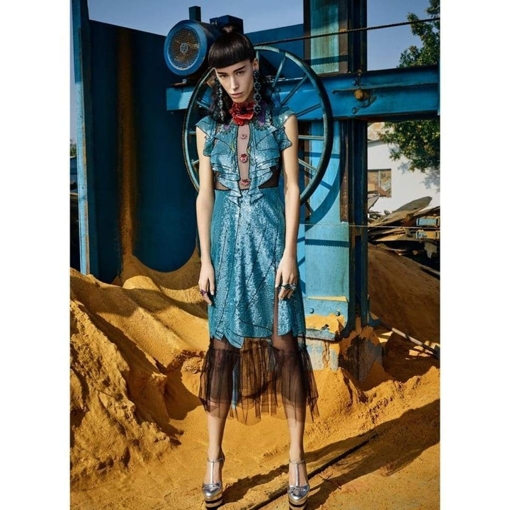 Runway Embroidered Tulle Dress