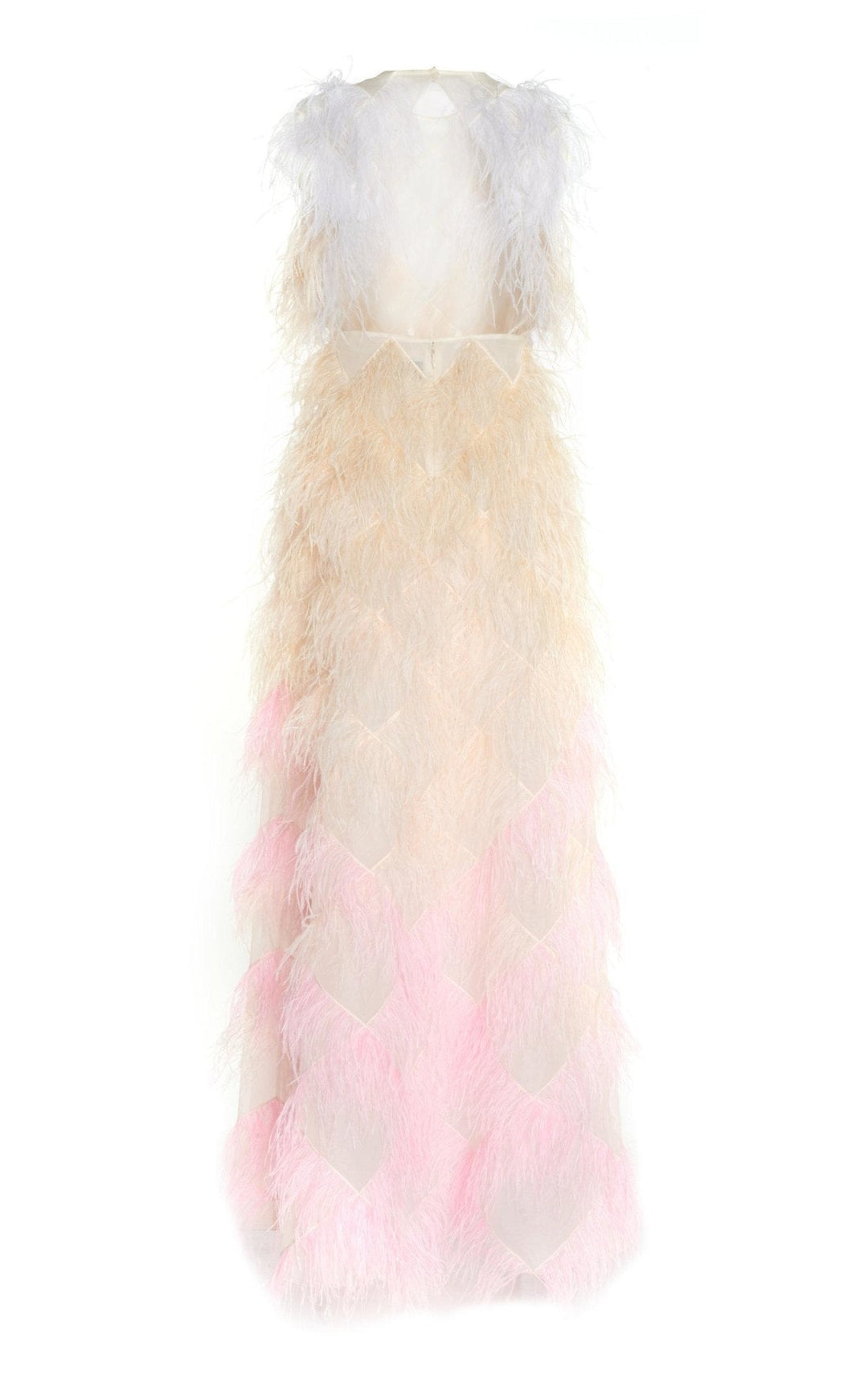 Mystique Dégradé Silk and Feather Gown