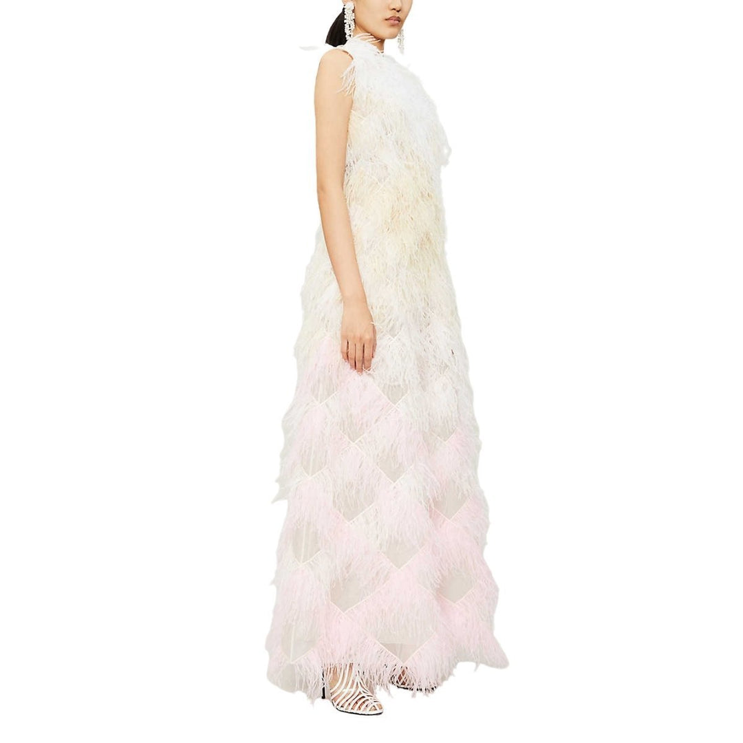 Mystique Dégradé Silk and Feather Gown