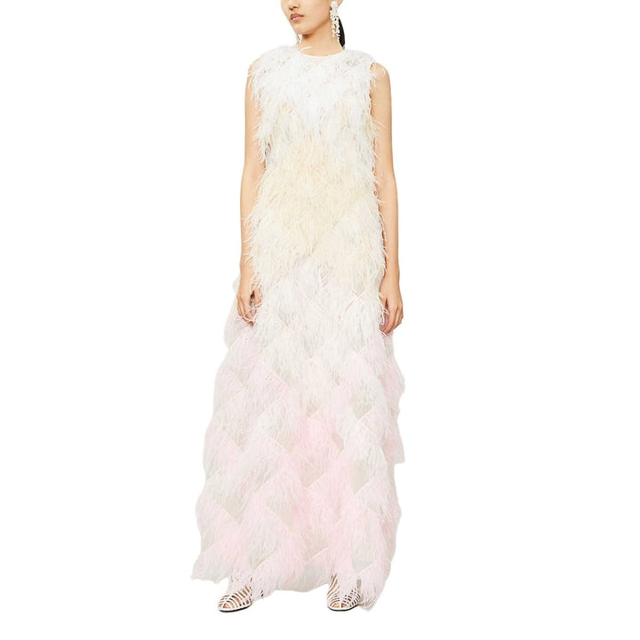 Mystique Dégradé Silk and Feather Gown