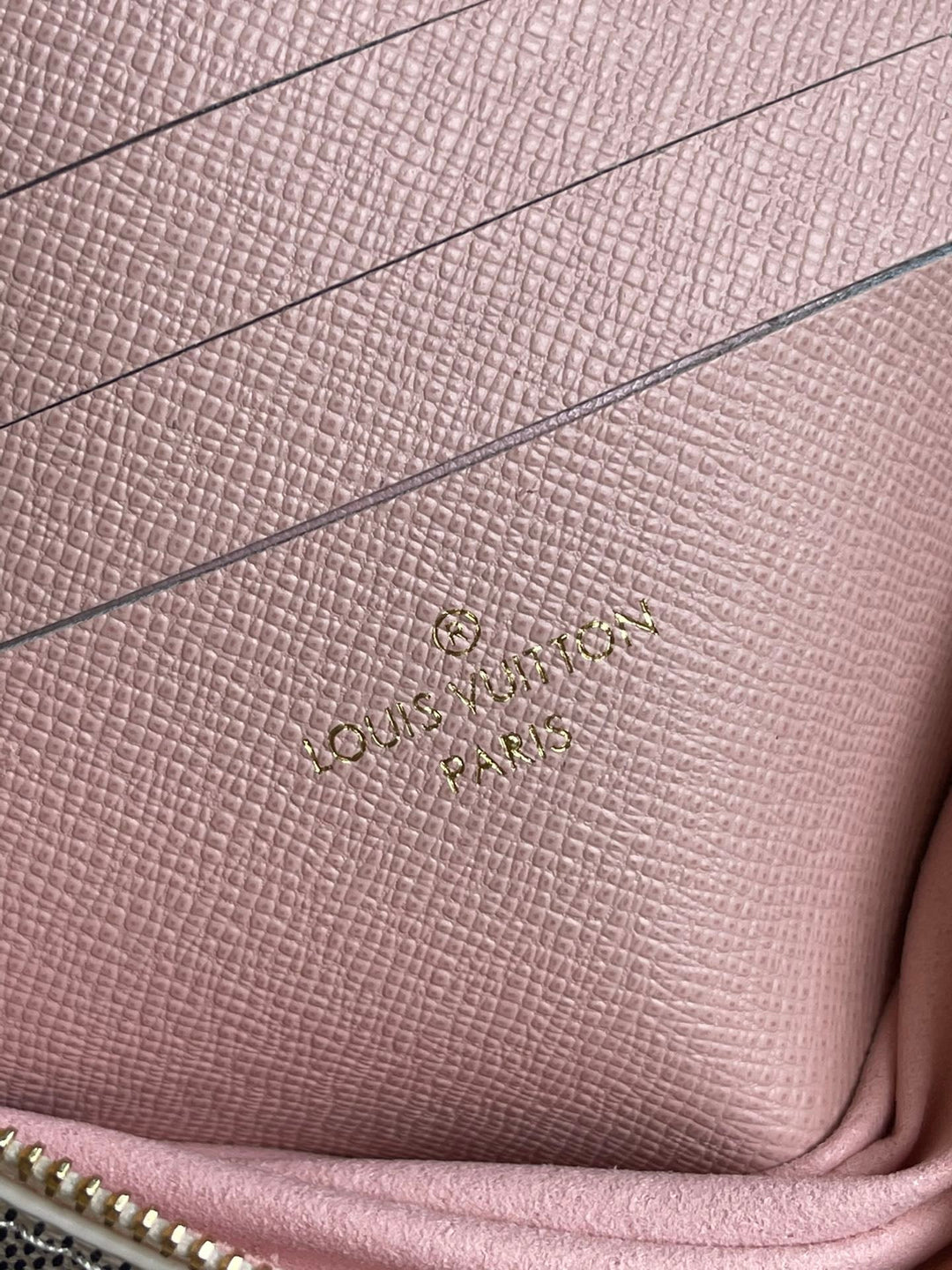 Louis Vuitton Double ZiP Pochette Bag