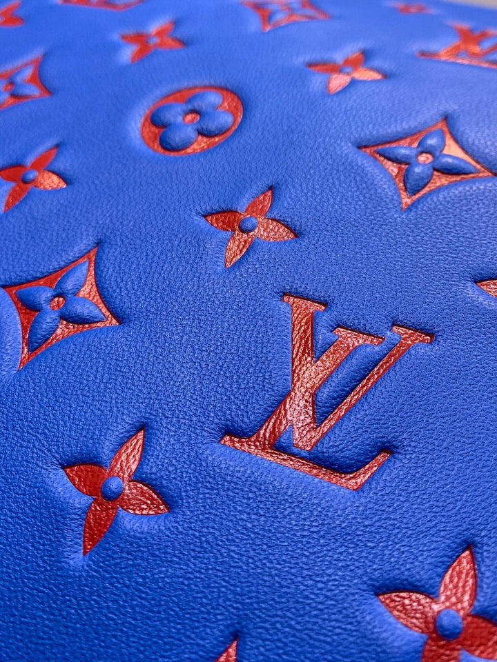 Louis Vuitton Coussin PM Bag