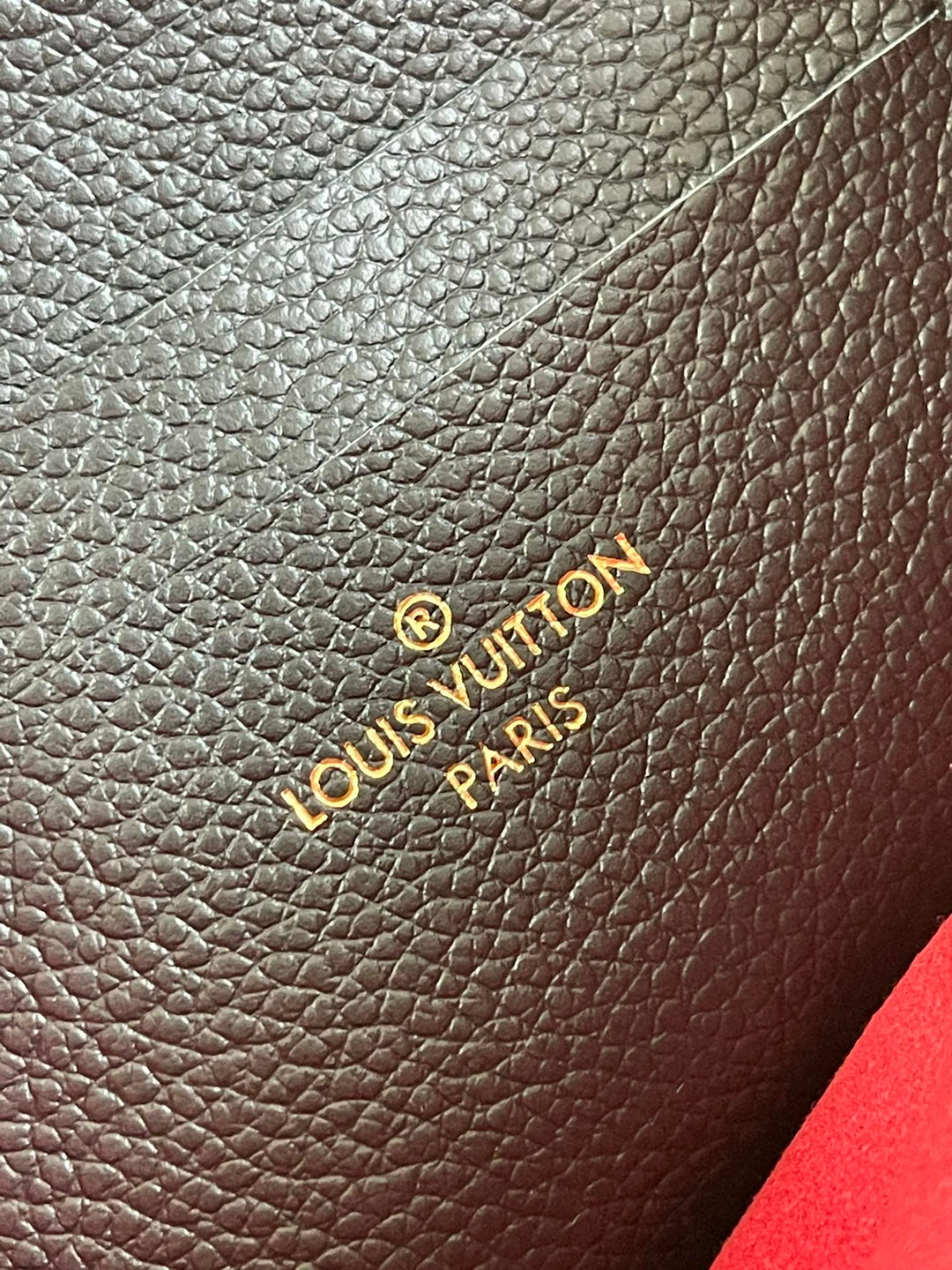 Louis Vuitton Double Zip Pochette Bag