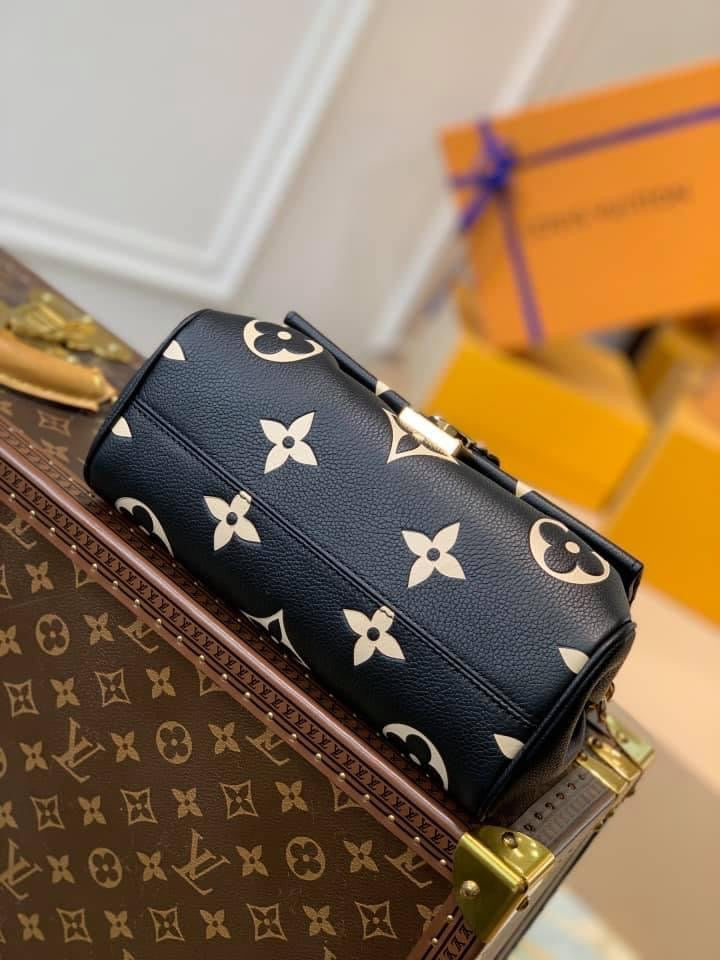 Louis Vuitton Favorite Bag