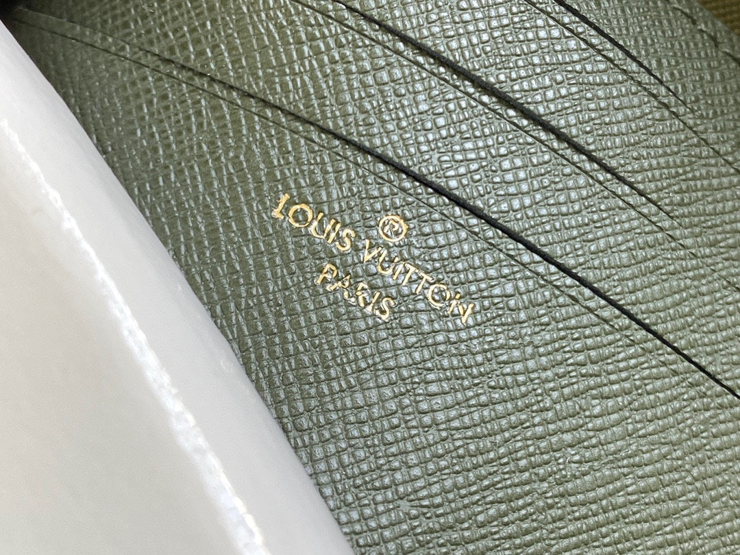 Louis Vuitton Felicie Strap & Go Bag