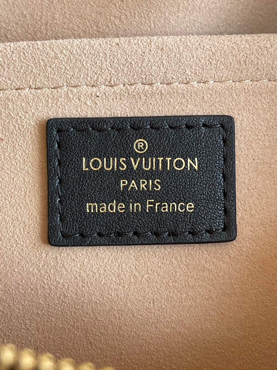 Louis Vuitton Troca PM Bag