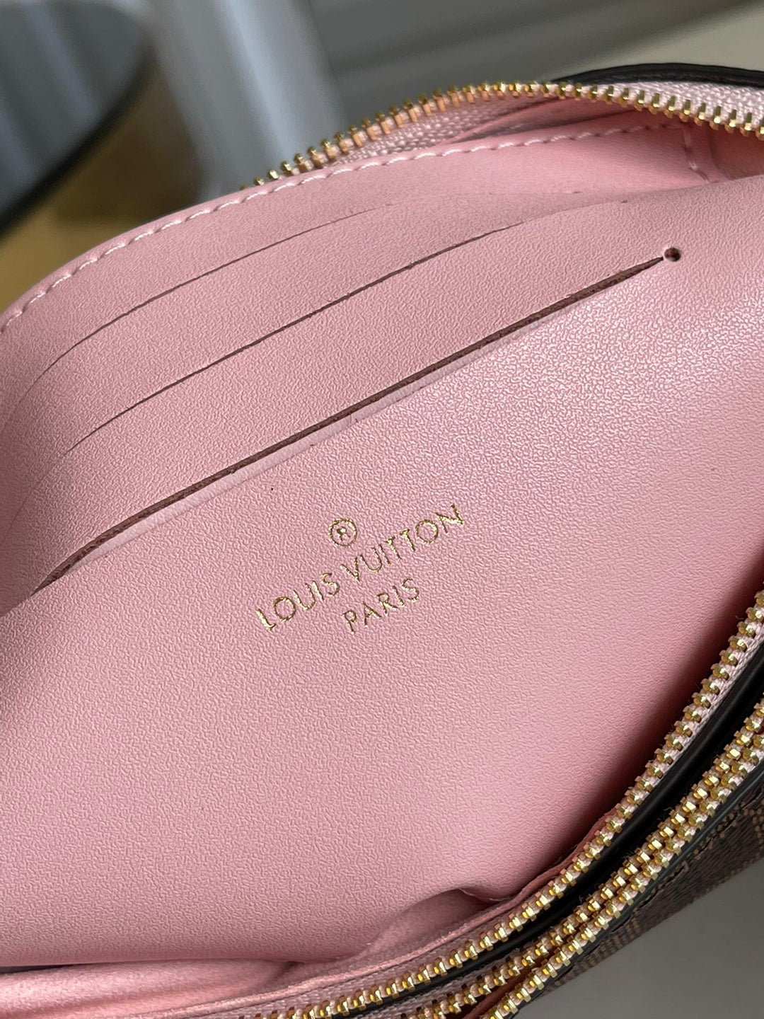 Louis Vuitton Double Zip Pochette Bag