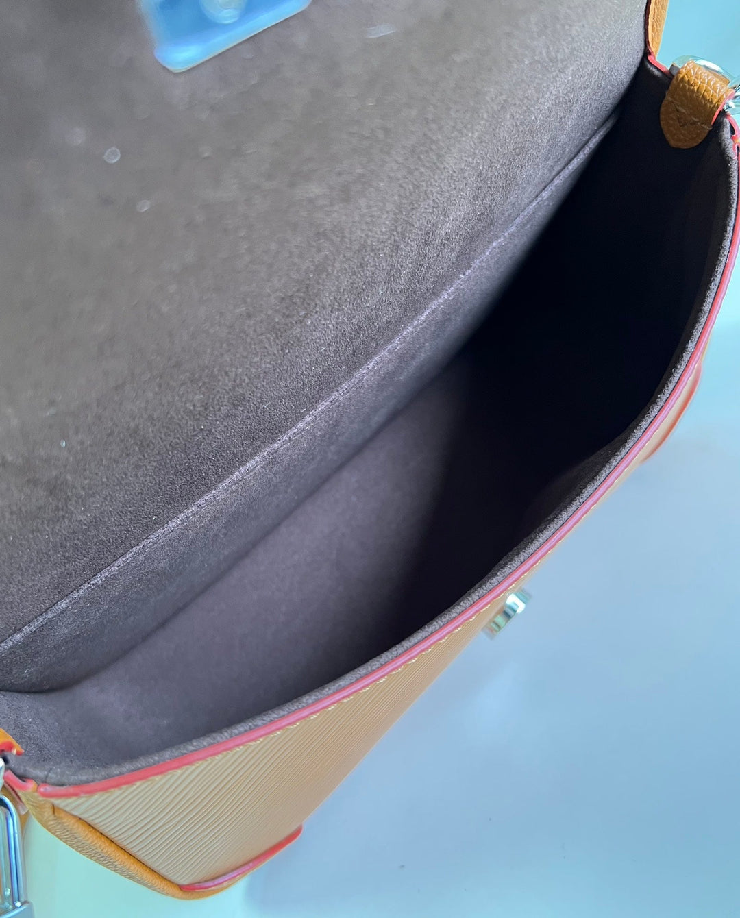 Louis Vuitton Buci Bag