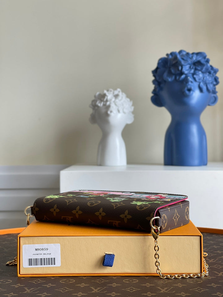 Louis Vuitton Felicie Pochette Bag