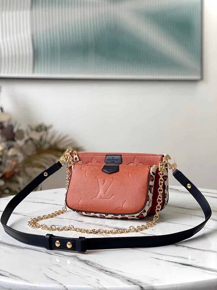 Louis Vuitton Multi Pochette Accessories Bag
