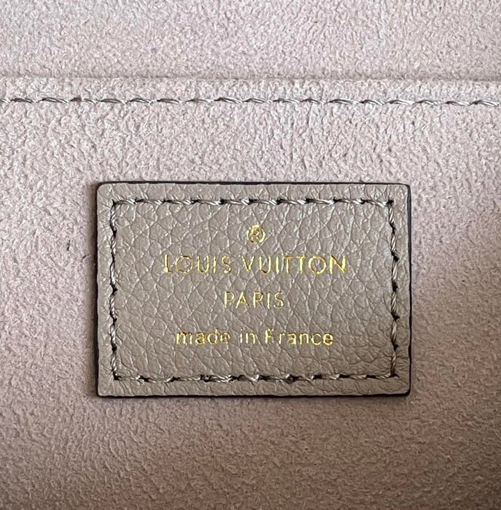 Louis Vuitton Favorite Bag