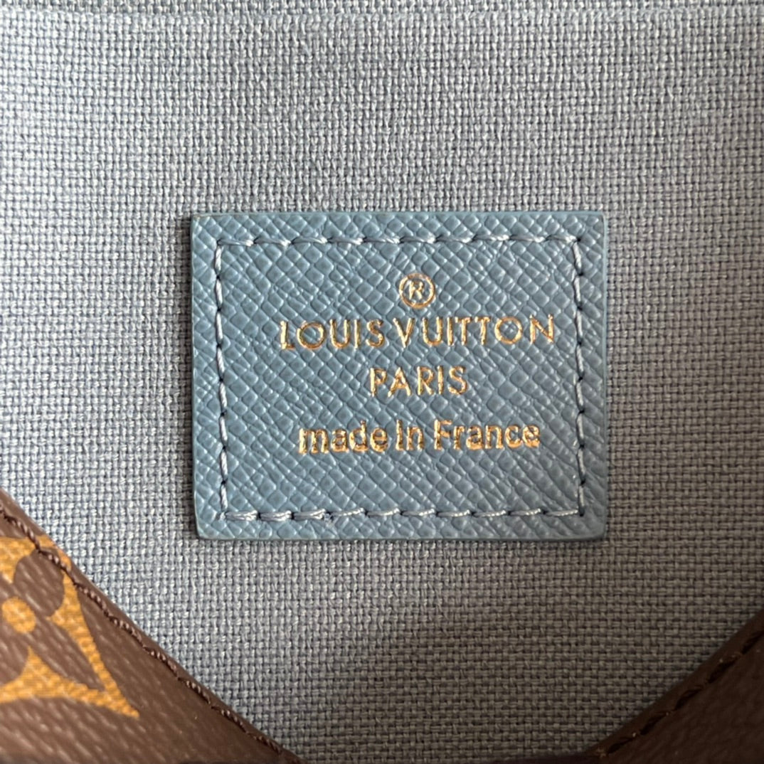 Louis Vuitton Felicie Pochette Bag