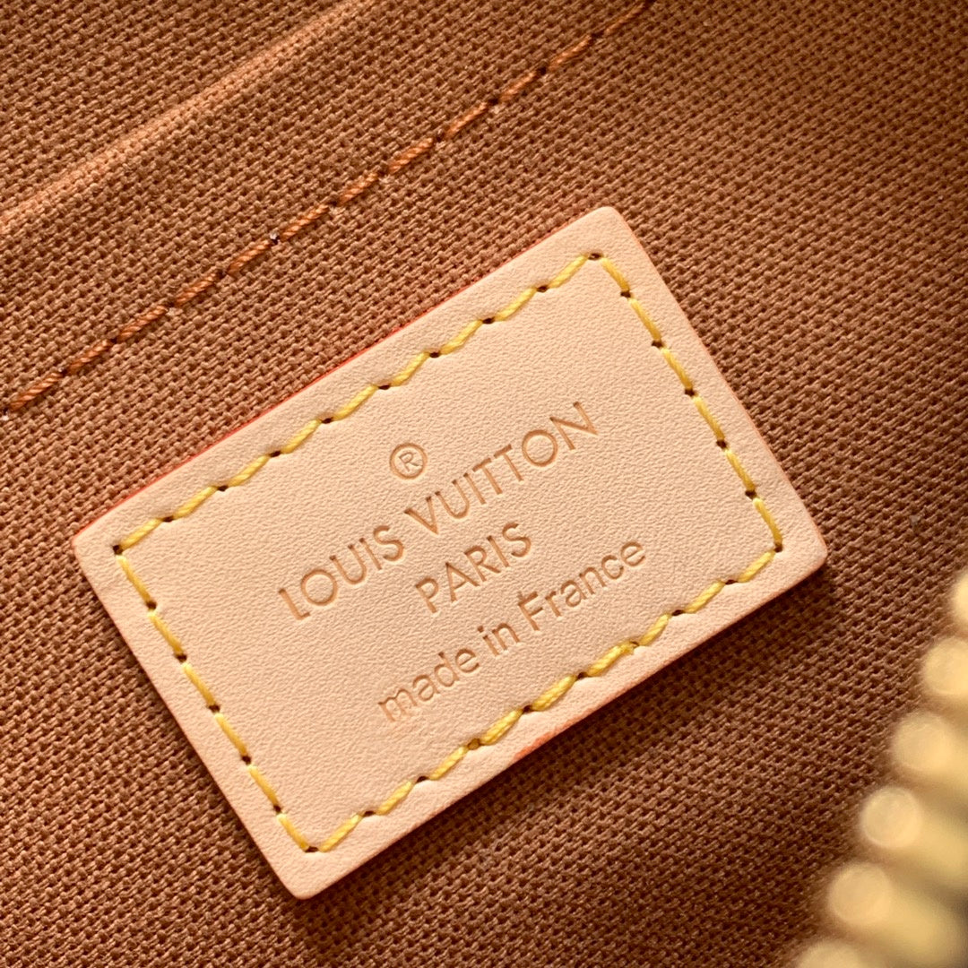Louis Vuitton Multi Pochette Accessories Bag