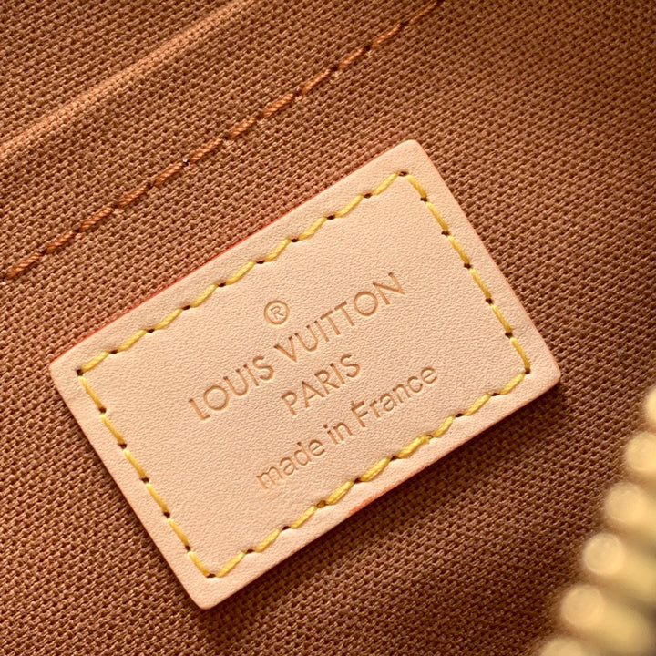 Louis Vuitton Multi Pochette Accessories Bag