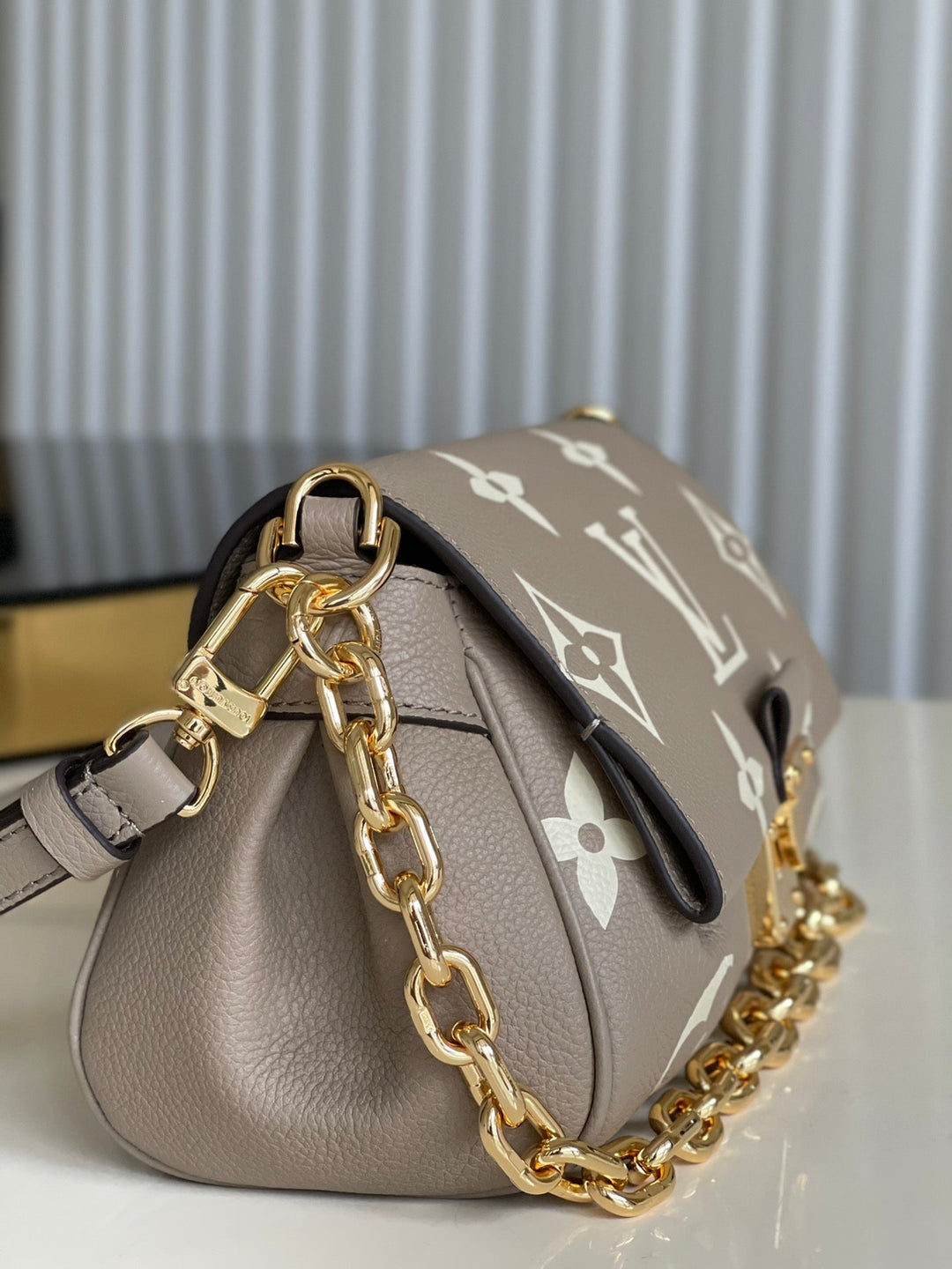 Louis Vuitton Favorite Bag
