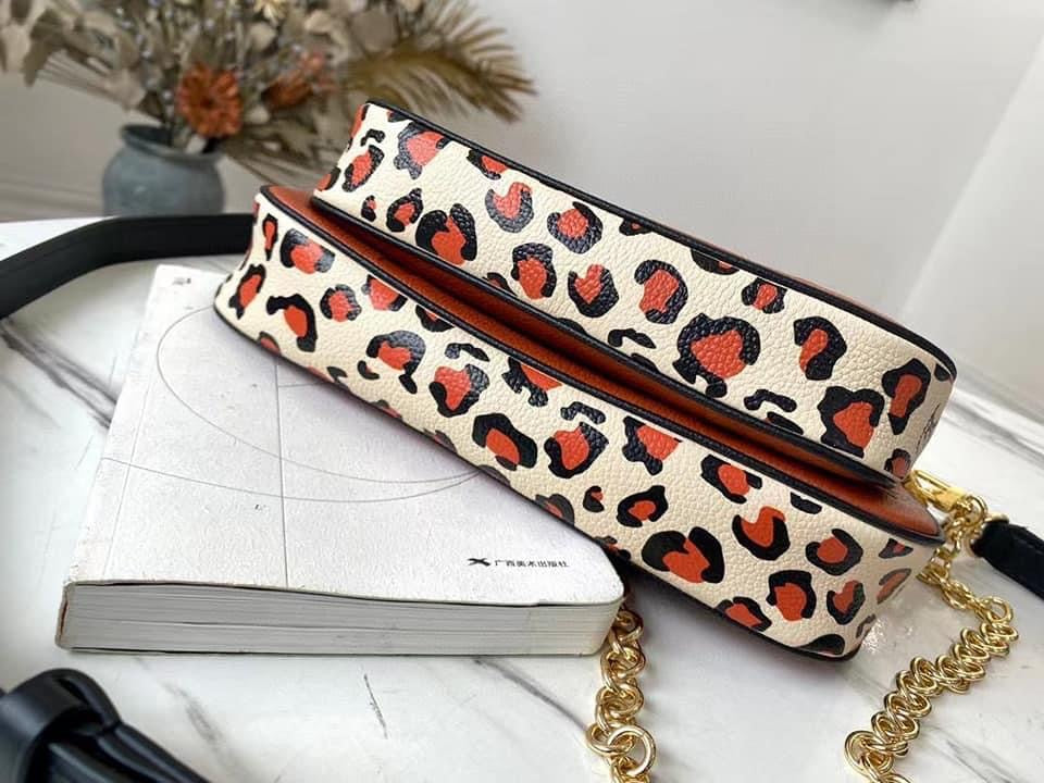 Louis Vuitton Multi Pochette Accessories Bag