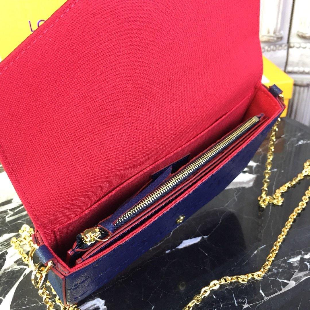 Louis Vuitton Felicie Pochette Bag