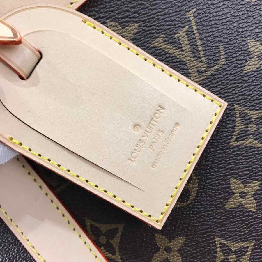 Louis Vuitton Dog Carrier Bag 50